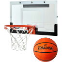 X|fBO Y fB[X WjA XW NCAA oXPbg{[ ~jS[ ƒp ^oXPbg{[t  SPALDING E561034T