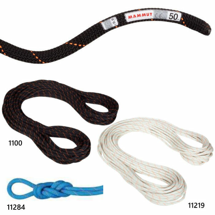 Ĺ40m ľ9.9mm ޥࡼ  ǥ  ۡ ɥ饤  9.9 Gym Workhorse Dry Rope л 饤ߥ󥰥 ۥ磻  ֥å  ֥롼  ̵ Mammut 2010-04320