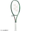 lbNX Y fB[X p[Zvg 100L dPbg ejX dp pP[Xt t[̂ O[   YONEX 01PE100L