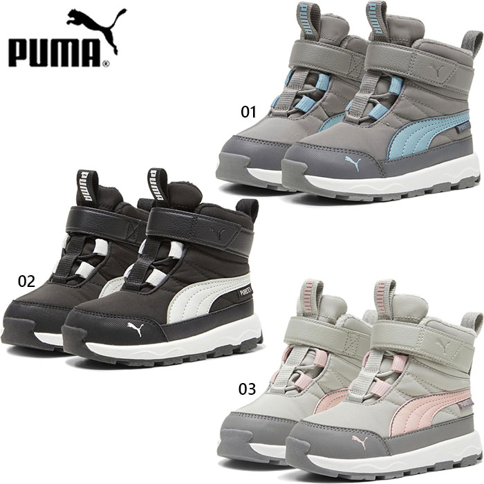 ס ٥ӡ å ܥ ԥ奢ƥå ֡ 奢륷塼 󥿡֡ 󥿡塼 ֥å  졼  ̵ PUMA 392650