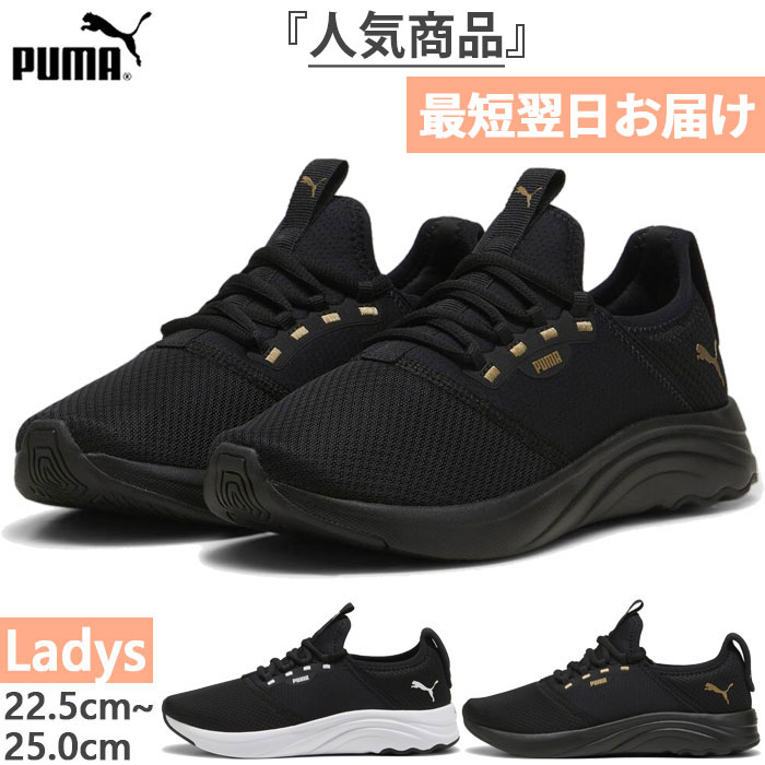 v[} fB[X \tgCh SOFTRIDE AA Xj[J[ V[Y RC [Jbg ʋ ʊw ubN   PUMA 309823