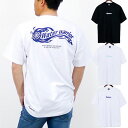 大きいサイズ リアルビーボイス メンズ レディース RBV ウォーター ウォリアー D C Tシャツ WATER WARRIOR D C T-SHIRT 半袖 トップス 吸水速乾 ホワイト 白 ブラック 黒 送料無料 RealBvoice 10451-11861A