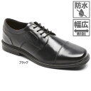 Ch bN|[g Y eC[ EH[^[v[t Lbv gD TAYLOR WP CAP TOE rWlXV[Y h v ubN   ROCKPORT CI0822