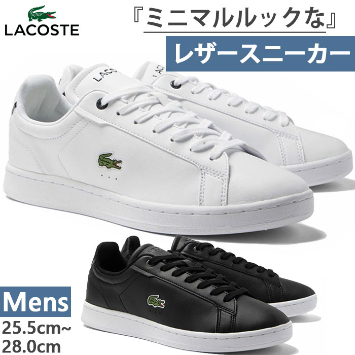 饳  ʥӡ ץ CARNABY PRO BL23 1 SMA ˡ 塼 ɳ å 奢 졼å 쥶 ۥ磻  ̵ LACOSTE 45SMA0110