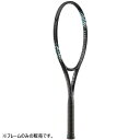 ダイアデム メンズ レディース スーパーノヴァ 100 SUPERNOVA 100 硬式テニス ラケット 送料無料 DIADEM TAA005