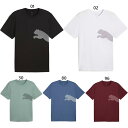 プーマ メンズ ビッグロゴ TAD BIG LOGO Tシャツ フィットネス トレーニングウェア トップス 半袖Tシャツ ホワイト 白 ブラック 黒 グリーン 緑 送料無料 PUMA 527364