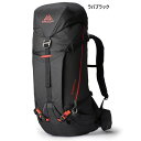 35L グレゴリー メンズ レディース アルピニスト ALPINISTO リュックサック デイパック バックパック バッグ 鞄 ブラック 黒 送料無料 GREGORY 869949574(4)
