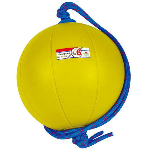 6kg ニシスポーツ メンズ レディース スウィングメディシンボール 陸上競技 トレーニング用品 イエロー 黄色 送料無料 NISHI T5916 6kg ニシスポーツ メンズ レディース スウィングメディシンボール 陸上競技 トレーニング用品 イエロー 黄色 送料無料 NISHI T5916