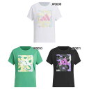 アディダス レディース W ACTV グラフィック Tシャツ フィットネス トレーニングウェア トップス 半袖Tシャツ ブラック 黒 送料無料 adidas KQD83(4)