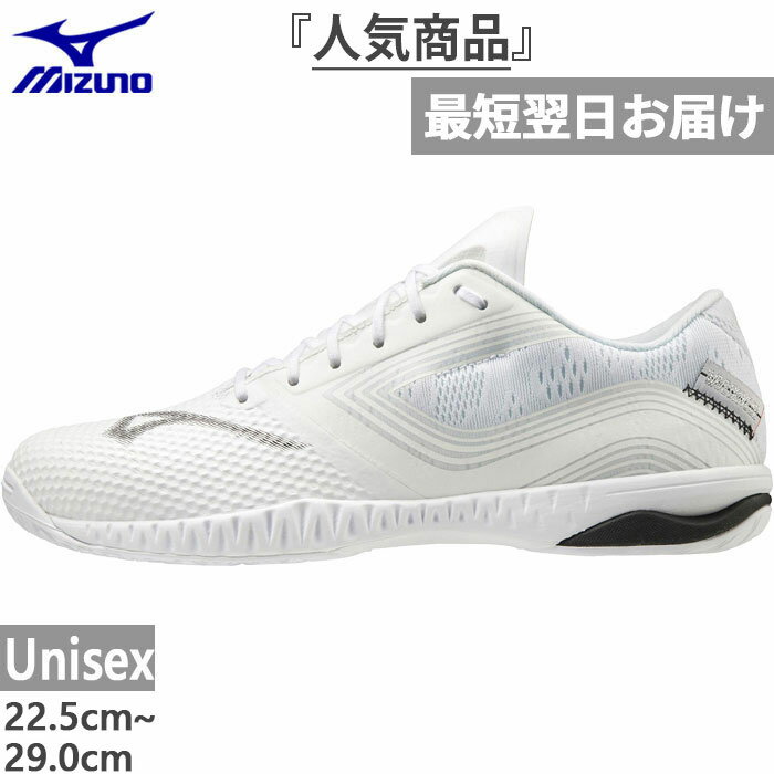 2E幅 ミズノ メンズ レディース ウエーブドライブ EL 卓球シューズ ホワイト 白 送料無料 Mizuno 81GA2001
