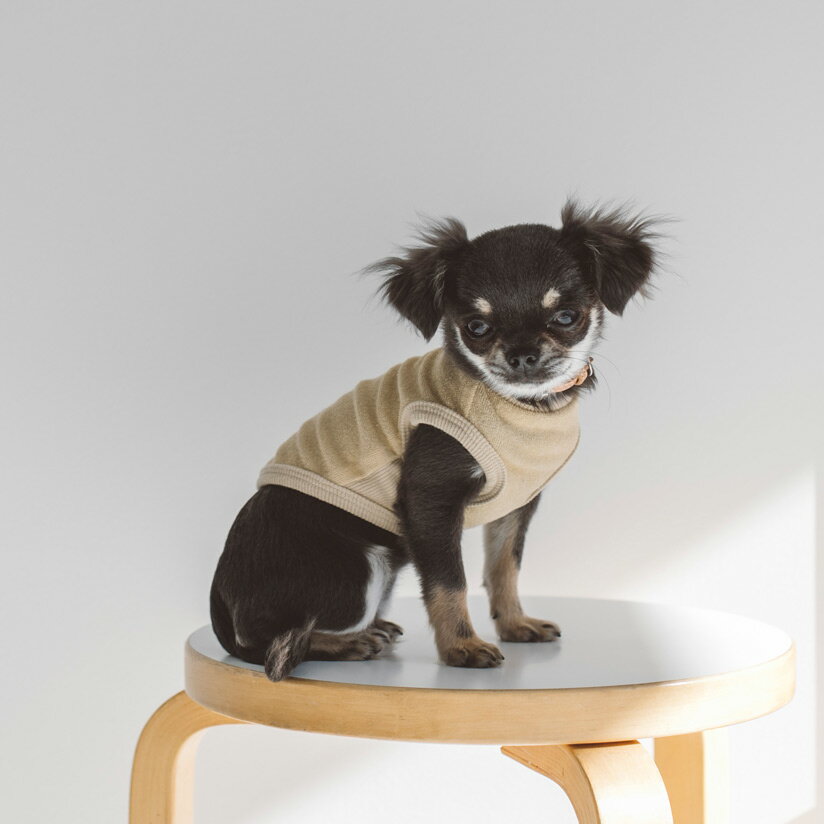 【犬 服 洋服】ドッグウェア 犬服 犬用 ドッグ 犬 ウェア シンプル おしゃれ 国産 日本 部屋着 優しい 肌 コットン 小型犬 超小型犬 チワワ プードル ...