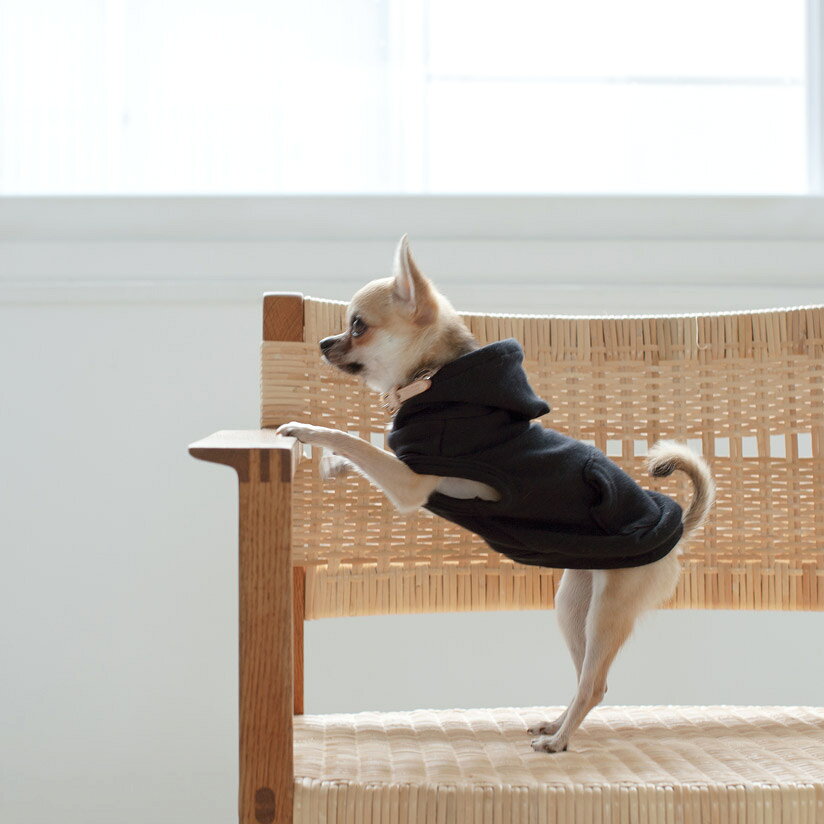 着心地の良いストレッチフーディータンク シンプル 洋服 犬 日本製 ストレッチニットフーディ Ss S M犬服 おしゃれ タンク おでかけ 21人気特価 ドッグラン パーカー 普段着 ドッグウェア ドッグ いぬ 高級 ウェア フード
