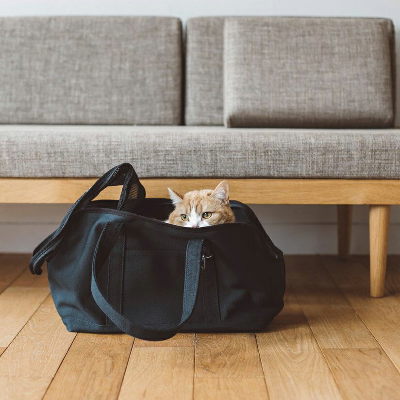 【猫 キャリー】大きい猫 猫 ネコ ねこ かばん キャリー キャリーバッグ バッグ かばん 鞄 クレート トートおしゃれ 日本製 シンプル 人気 軽い ハンプ キャンバス 帆布 洗える 洗濯 病院 通院…