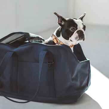 【犬 キャリー】スクエア トート キャンバス ソリッド L サイズキャリーバッグ おしゃれ 軽い 中型犬 洗える 人気 ドッグ キャリー かばん 鞄 シンプル バッグ コッカー 多頭 ボストン パグ 旅行 電車 公共機関 防災 災害