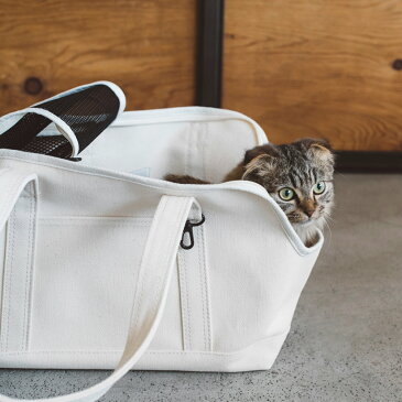 【猫 キャリー】スクエア トート キャンバス ソリッド Sサイズペット用 犬用 猫用 キャリーバッグ キャリーケース 防災 避難 多頭 キャリー かばん クレート トート 子猫 仔猫 キャット 洗える 洗濯 病院 通院