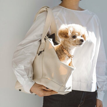 【犬 キャリー】スクエア トート キャンバス ソリッド S サイズ犬 ドッグ いぬ ペット ペット用 動物 犬用バッグ キャリー バッグ キャリーバッグ かばん 鞄 おしゃれ シンプル 日本製 洗える 洗濯 病院 通院 トイプードル チワワ