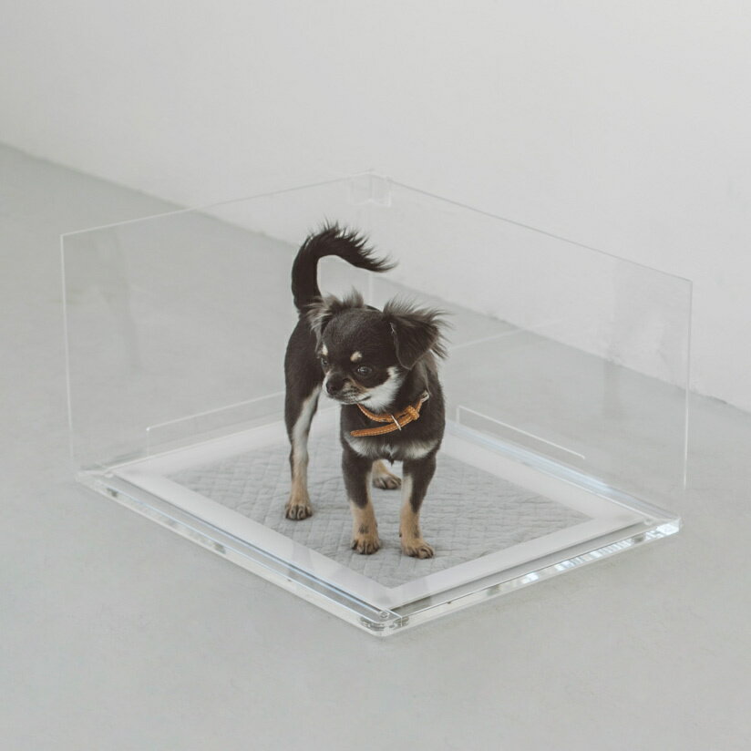 オリジナル アクリル トイレ トレイ サイドウォール S セットトイレ 犬 おしゃれ シンプル アクリル トイレトレイ マナー スペース インテリア 日本製 洗える アクリル ブラック ホワイト ブラウン シーツのレビュー クチコミとして参考になる投稿1枚 Roomclip オリジナル アクリル トイレ トレイ サイドウォール S セットトイレ 犬 おしゃれ シンプル アクリル トイレトレイ マナー スペース インテリア 日本製 洗える アクリル ブラック ホワイト ブラウン シーツのレビュー クチコミとして参考になる投稿1枚 Roomclip