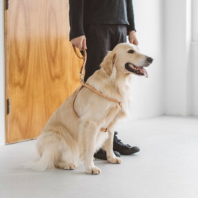 【犬 ハーネス 革】オリジナルヌメリングワンタッチハーネス 大型犬用 70