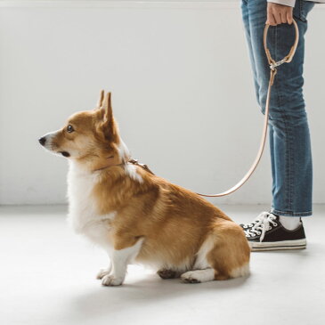 【犬 リード】オリジナル ヌメ リング リード L サイズ 犬用ペット用リード 犬 ペット リード 首輪 散歩 犬用 リード カジュアル おしゃれ カラフル ファッションリード 大型犬 中型犬 カラー 訓練 トレーニング