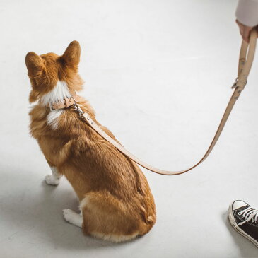 【犬 リード】オリジナル ヌメ リング リード L サイズ 犬用ペット用リード 犬 ペット リード 首輪 散歩 犬用 リード カジュアル おしゃれ カラフル ファッションリード 大型犬 中型犬 カラー 訓練 トレーニング