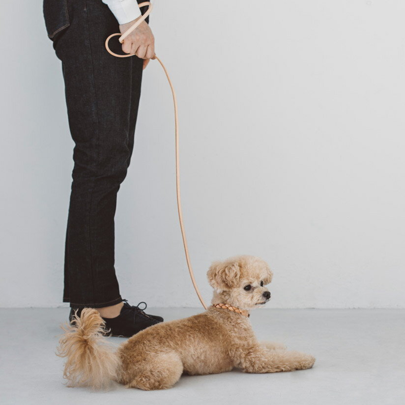 【犬リード】オリジナルヌメリングリードSサイズ犬リード犬リード小型犬中型犬革皮革製レザーおしゃれ犬のリード犬リード犬リード小型犬チワワ
