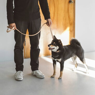 【犬 リード】オリジナル ヌメ リング リード L サイズ 犬用ペット用リード 犬 ペット リード 首輪 散歩 犬用 リード カジュアル おしゃれ カラフル ファッションリード 大型犬 中型犬 カラー 訓練 トレーニング