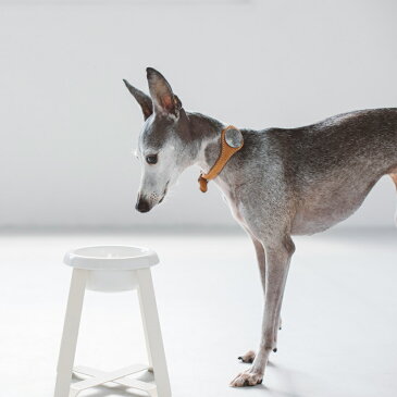 pecolo Food Stand S(hightall) 陶器深型 フードボウルスタンド 犬 フードボウル