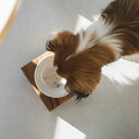 MESHIDAI GOHAN HEIGHT S　シングル REPLUSリプラス　メシダイ　ゴハン　ハイト　犬　ドッグ　フードボウル　foodbowl　dog　おしゃれ　陶器　木製