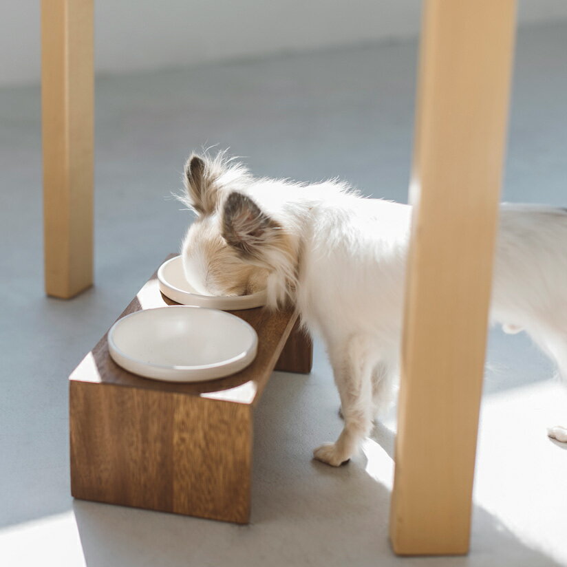 Meshidai Gohan Height Ss ダブル Replusリプラス メシダイ ゴハン ハイト 犬 ドッグ フードボウル Foodbowl Dog おしゃれ Meshidai Gohan Height Ss ダブル Replusリプラス メシダイ ゴハン ハイト 犬 ドッグ フードボウル Foodbowl Dog おしゃれ