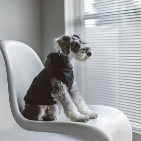 【犬 服】【ドッグウェア】ストレッチニットフーディ L / LL犬服　おしゃれ タンク　高級　シンプル　　いぬ　洋服　ウェア　ドッグ　日本製　シンプル　犬　洋服　ドッグウェア　おでかけ　ドッグラン　普段着　フード　パーカー