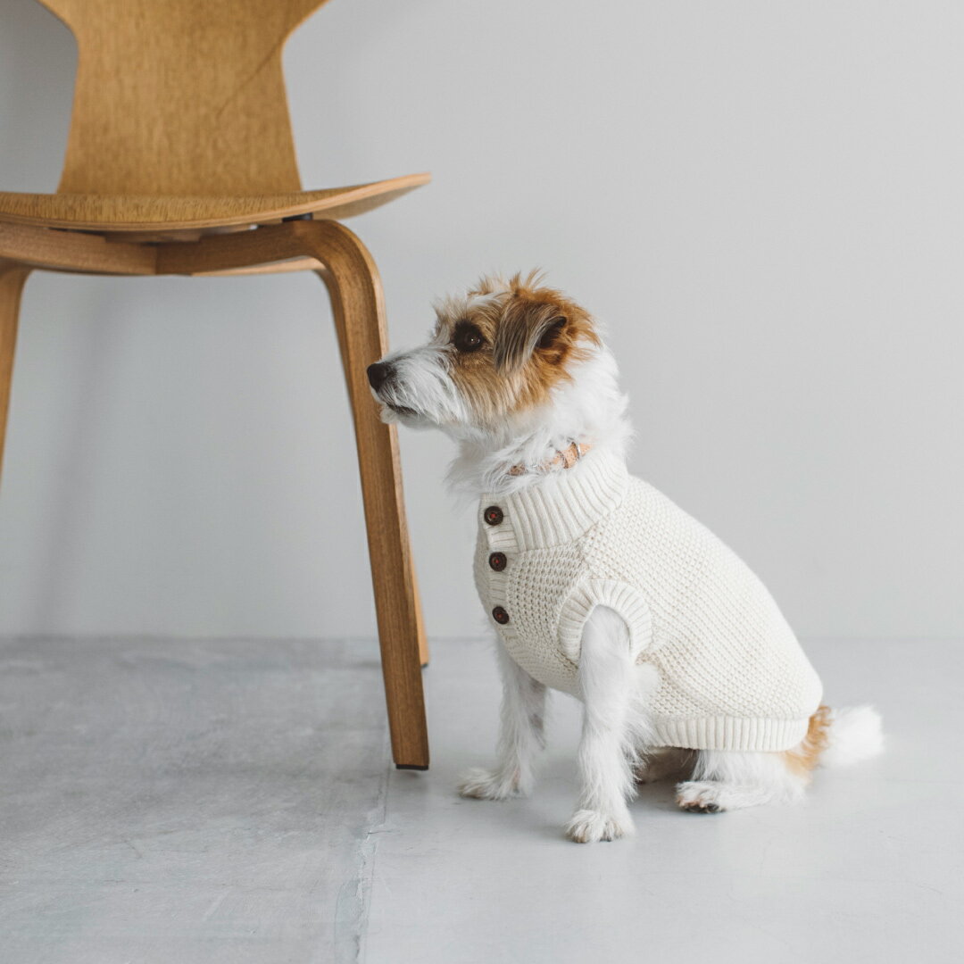 【犬 服 洋服】ドッグウェア　犬服　犬　服　ドッグ　ウェア　ペット　子犬　セーター　ニット　かわいい　オーガニック　シンプル　国産　日本　おしゃれ　おでかけ　旅行　お揃い　高級　犬用　洋服　オーガニックワッフルニット L / LL