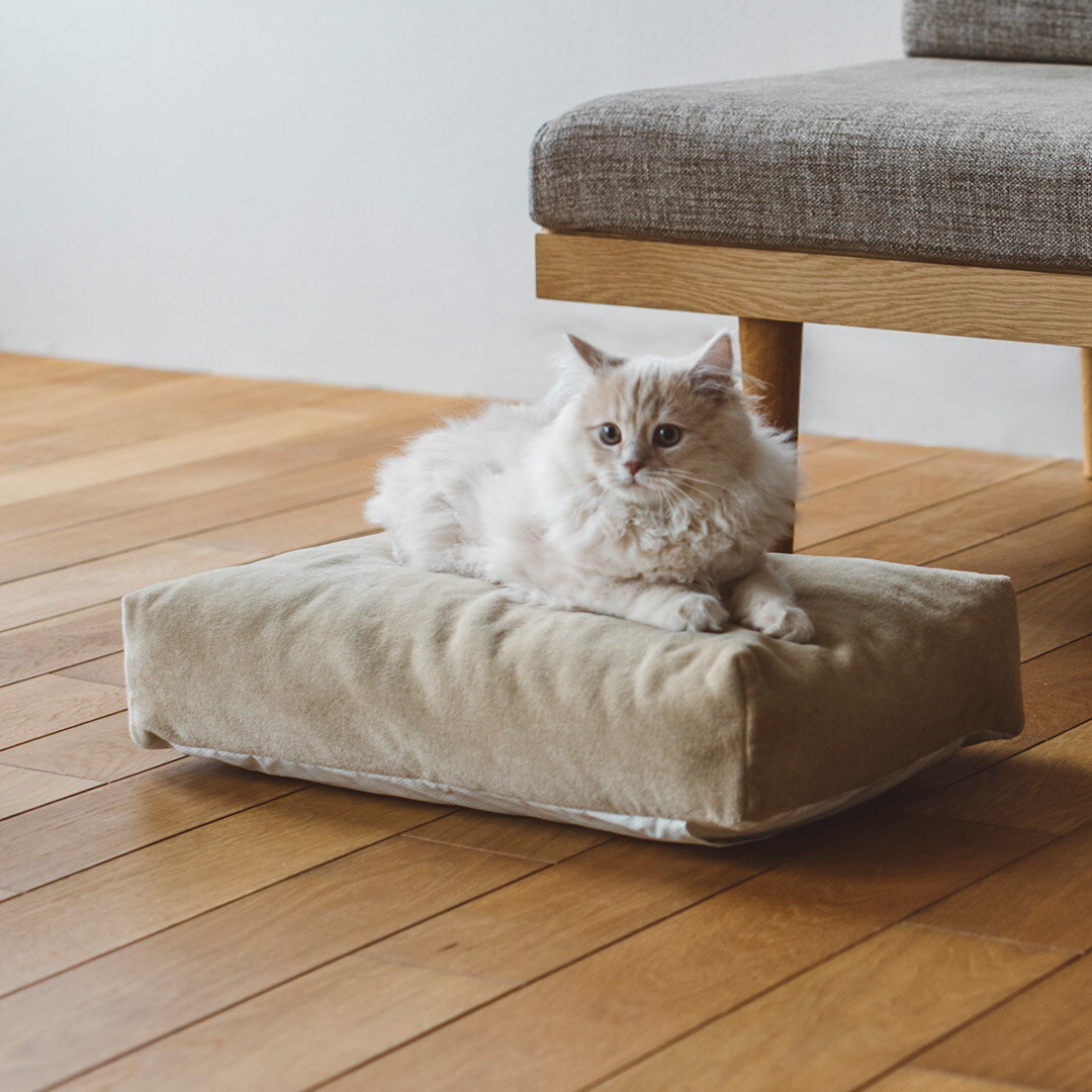 楽天フリーステッチ【猫 ベッド】猫ベッド ペット用ベッド ペット　猫用　キャット　ねこ　タオル　bed 洗える　ふかふか　国産　日本　おしゃれ　シンプル　シャンプー　洗濯　四角　人気コットンダブルフェイス スクエアベッド S サイズ