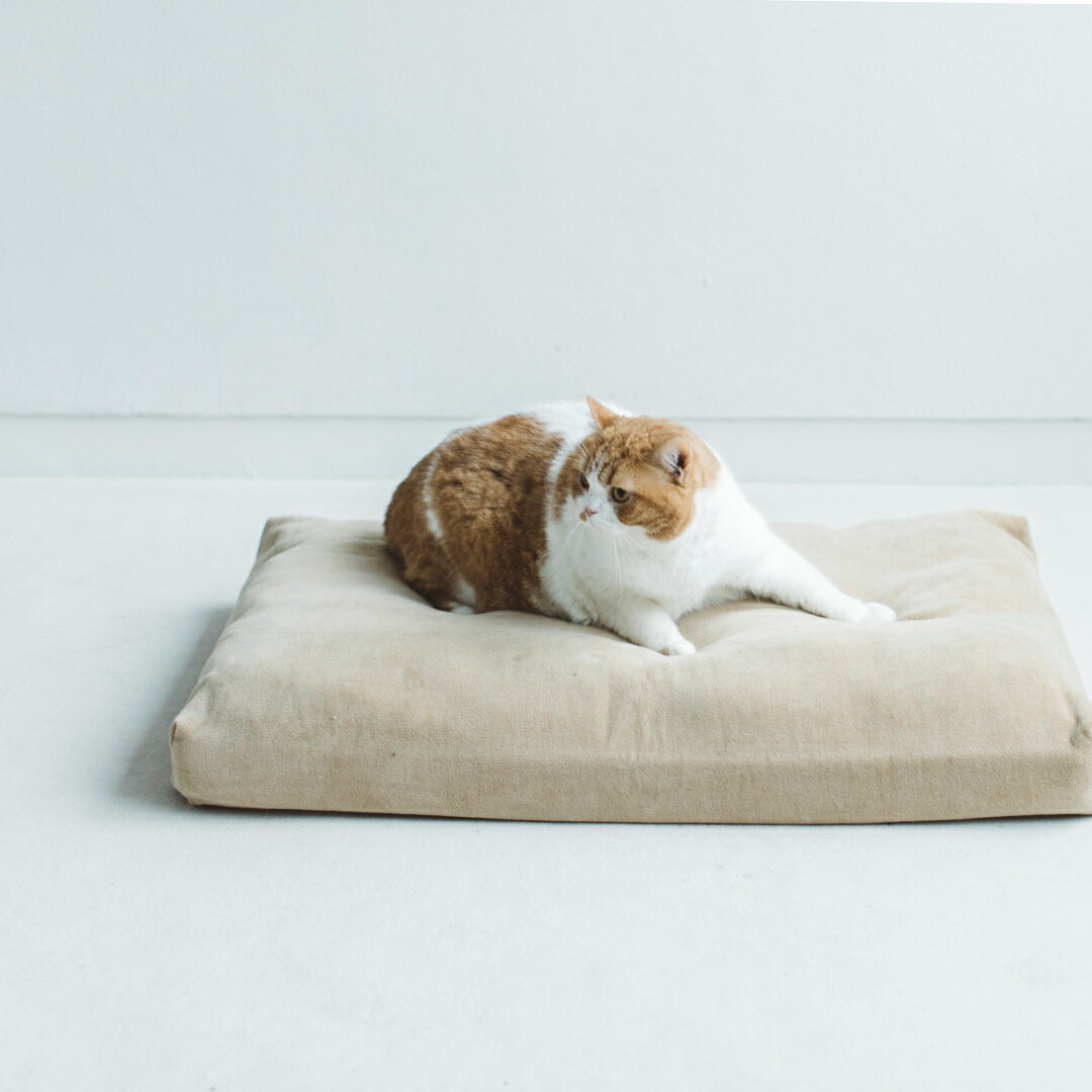 楽天フリーステッチ【猫 ベッド】猫ベッド ペット用ベッド ペット　猫用　キャット　ねこ　タオル　bed 洗える　ふかふか　国産　日本　おしゃれ　シンプル　シャンプー　洗濯　四角　人気　送料無料コットンダブルフェイス スクエアベッド L サイズ