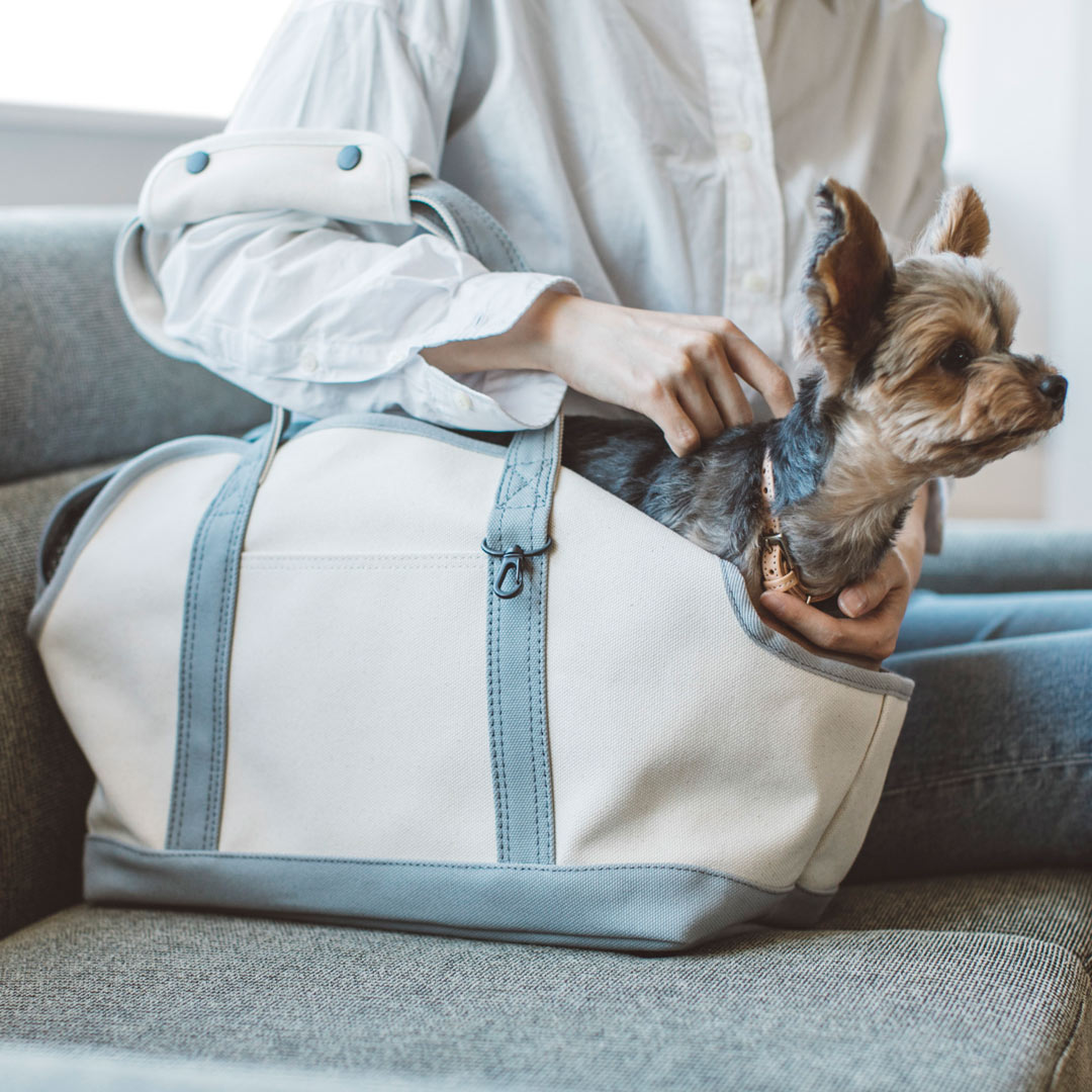 犬 キャリーケース ダックス トイプードル ハウス 犬 猫 お出かけ 小型犬 帆布 犬 猫 キャリーケース キャリーバッグ おしゃれ 小型犬 シンプル 帰省 電車 防災 帆布 軽量 多頭 おでかけスクエ…