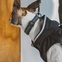 【犬 首輪】アンチオドール コンフォートカラー L サイズ 小型犬犬 首輪 犬首輪 小型犬 中型犬用 シンプルベーシック 犬の首輪 いぬ、くびわ