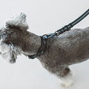 【犬 首輪】アンチオドール コンフォートカラー S サイズ 小型犬犬 首輪 犬首輪 小型犬 中型犬用 シンプルベーシック 犬の首輪 いぬ、くびわ