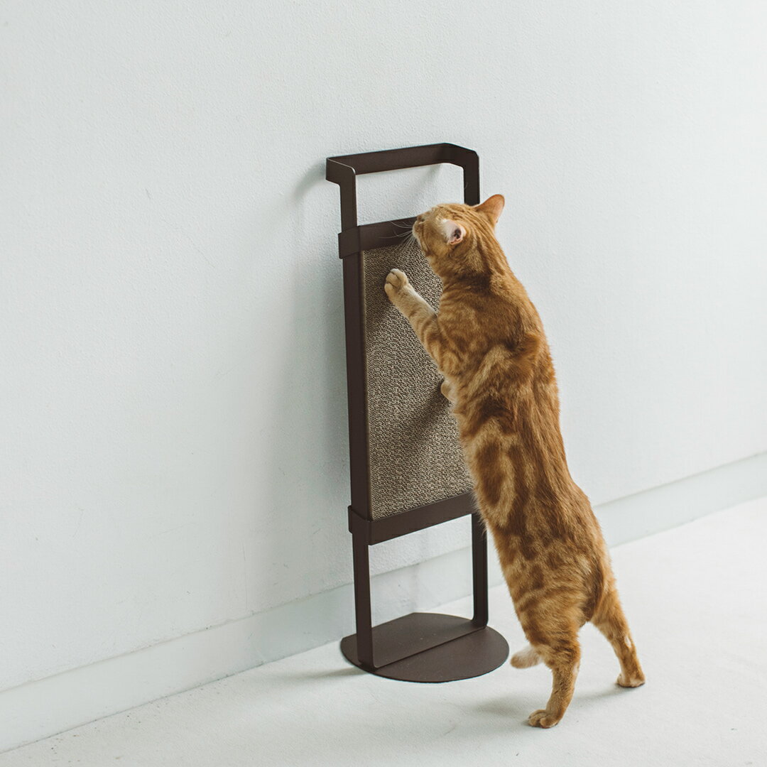 pecolo 『Cat Scratcher』