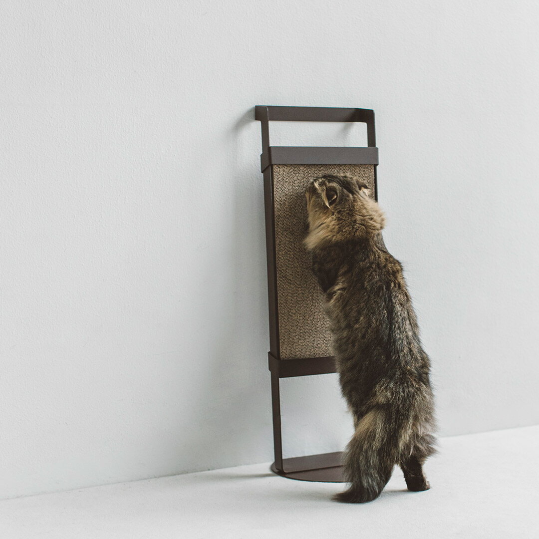 pecolo『CatScratcher』