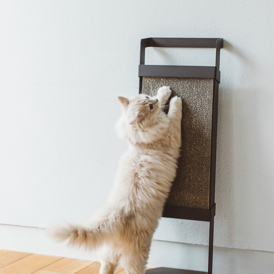 pecolo Cat Scratcher　猫　爪とぎ おしゃれ　シンプル