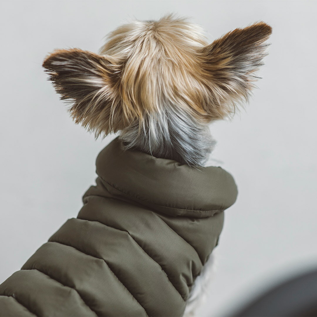 【犬 服 洋服】おしゃれ シンプル 高級 犬服...の紹介画像3