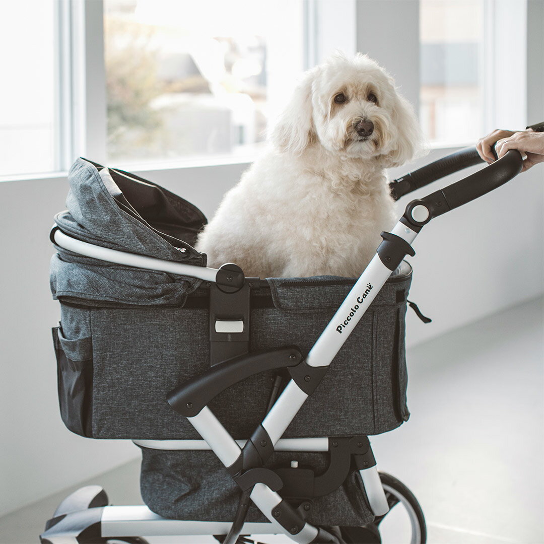 ピッコロカーネ VENTO ベント