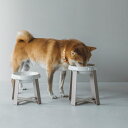 pecolo Food Stand LTall 陶器浅型 フードボウルスタンド 犬 フードボウル