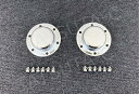 日野 NEWプロフィア/17プロフィア メッキ フロント ハブキャップ 2個セット 高床 デコトラ