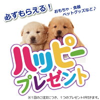 おもちゃプレゼント付き!GiGwiスッパプッパリングエレファント【GiGwiギグウィドッグぬいぐるみトーイスクィーカー小型犬】