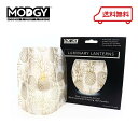 【50%以上OFF!】 ギフト インテリア テイクアウト ディナー おしゃれ MODGY モッジー ルミナリーランタン パイナップル 2セット入