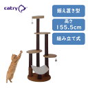 キャットタワー おすすめ 2匹 猫 おしゃれ 送料無料 キャットリー クレメント FY70852 FREEBIRD フリーバード