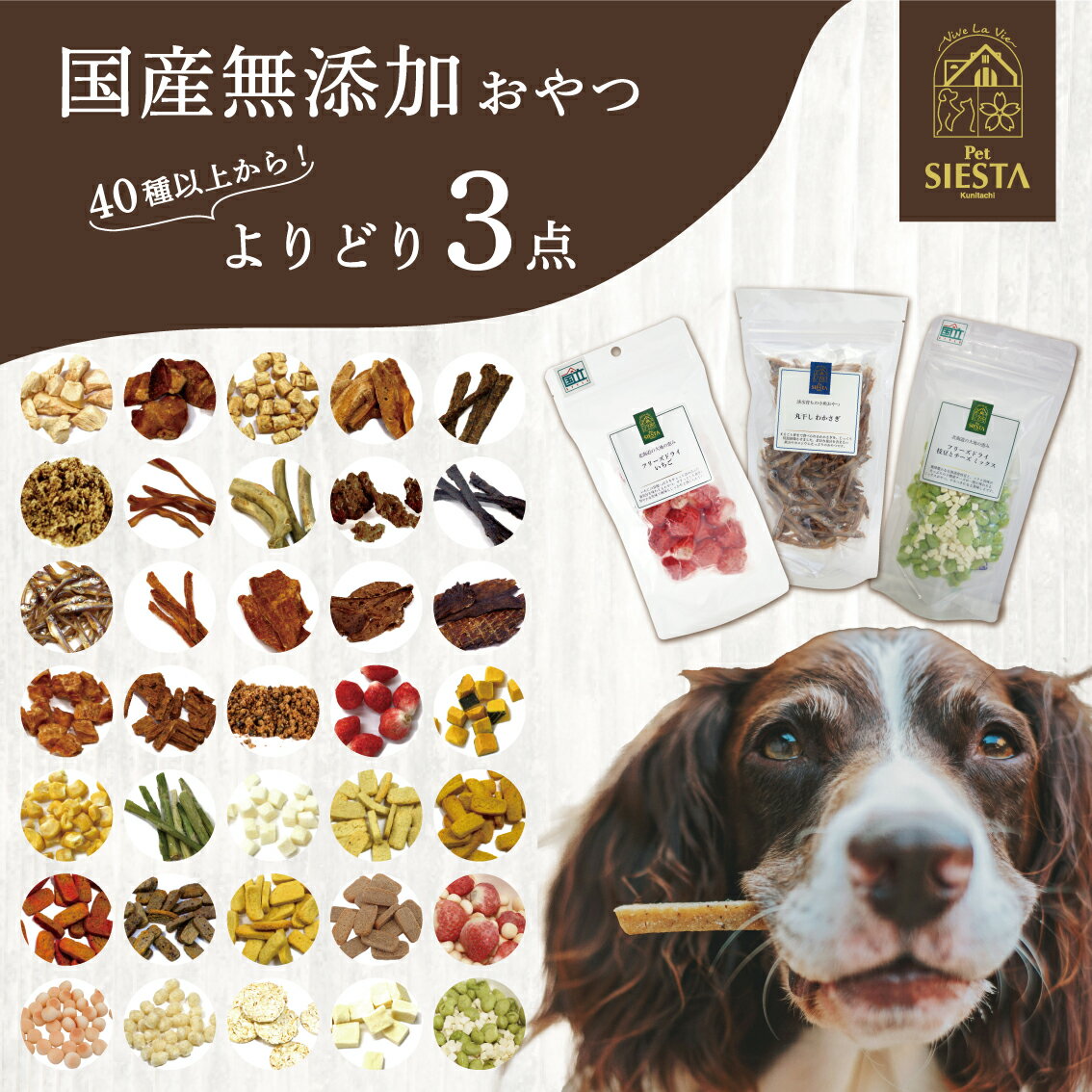 【レビュープレゼントキャンペーン開催中！】犬 おやつ 無添加 国産 詰め合わせ お試し 北海道産 フリーズドライ ビスケット ジャーキー 野菜 フルーツ 鶏 豚 魚 鹿肉 低カロリー 硬い 柔らかい 犬おやつ 選べるおやつセット 選べるおやつ 3種類 FREEBIRD フリーバード