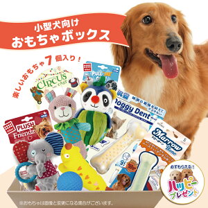 犬 おもちゃ 犬おもちゃ 福袋 セット 送料無料 ボール オモチャ ぬいぐるみ ギフト おもちゃの詰め合わせ BOX あす楽対応 おもちゃボックス おもちゃBOX おもちゃぼっくす デンタル 犬用 福袋 小型犬