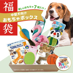 犬 おもちゃ 犬おもちゃ 中型犬 セット 送料無料 ロープ ボール オモチャ ぬいぐるみ デンタル 犬用 福袋 ギフト プレゼント おもちゃの詰め合わせ BOX あす楽対応 おもちゃボックス おもちゃBOX おもちゃぼっくす 中型犬用 FREEBIRD フリーバード