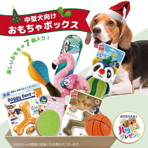 犬 おもちゃ 犬おもちゃ 中型犬 クリスマス クリスマスプレゼント セット 送料無料 ロープ ボール オモチャ ぬいぐるみ デンタル 犬用 福袋 ギフト プレゼント おもちゃの詰め合わせ BOX あす楽対応 おもちゃボックス おもちゃBOX おもちゃぼっくす 中型犬用